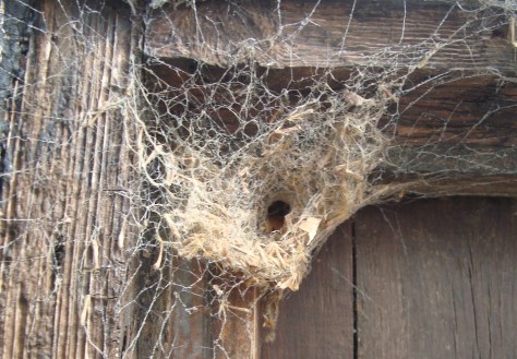 ???????????????????????????????