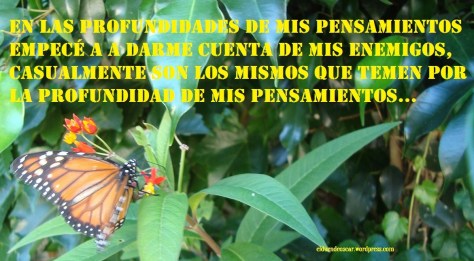 profundidad de pensamiento