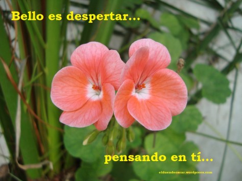 CARTELITO PENSANDO EN TÍ