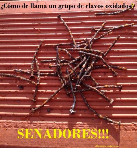 20180712_091454 - copia