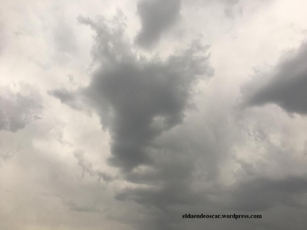 80245573_2424763287773957_2774864961334149120_o